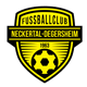 FC Neckertal-Degersheim 1