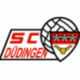 SC Düdingen