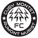 FC Cugy-Montet-Aumont-Murist I