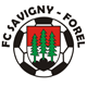 FC Savigny-Forel I