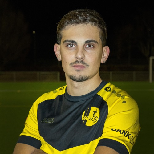 Matteo Miccoli